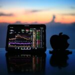 From Stocks to Bonds: A Comprehensive Look at Investment Options