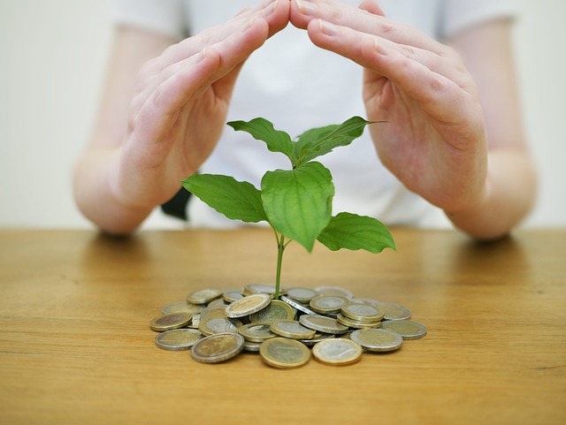 Investing Wisely: Tips for a Volatile Market